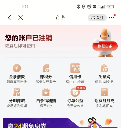 京东白条套出来收几个 京东白条套出来收几个案例分析