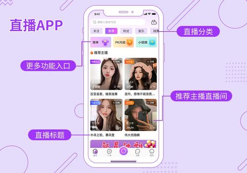 户外声卡直播的魅力与挑战