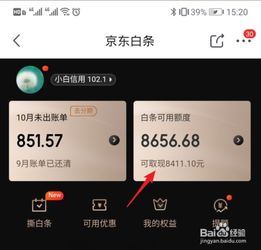 京东白条积分提现攻略