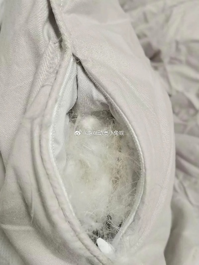 二手鸭绒被，划算还是陷阱？全方位解析！