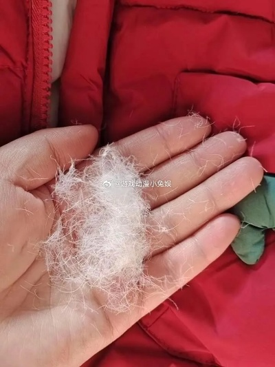 二手鸭绒被，划算还是陷阱？全方位解析！