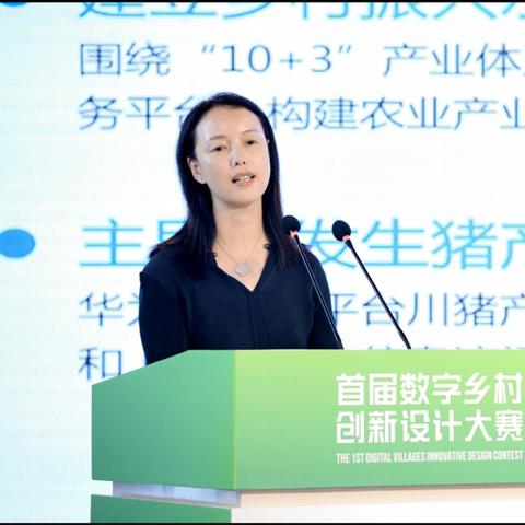 打造数字乡村新蓝图—构建数字乡村规划体系的实践与探索