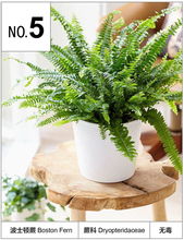 揭秘植物板材界的明星品牌—十大植物板材品牌排行榜