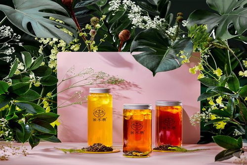 盘点明星单品茶叶，这些品牌让你一茶倾心！