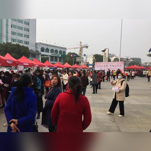 探索母婴家政行业，十大品牌的风采与选择指南
