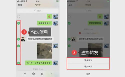 怎样恢复聊天记录呢?怎样恢复聊天记录？