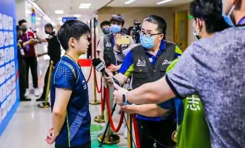 宝宝陶瓷选购指南，哪个品牌更值得信赖？