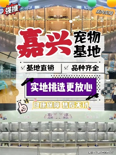 嘉兴宠物加盟品牌推荐