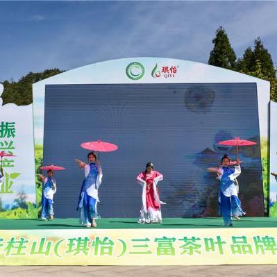 茶香四溢，品味人生—我为XX茶叶品牌代言