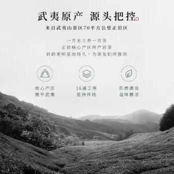 武夷山茶叶品牌大盘点，品味岩韵，尽在这一杯！