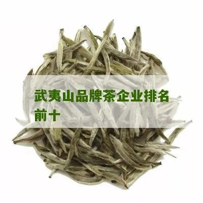 武夷山茶叶品牌大盘点，品味岩韵，尽在这一杯！