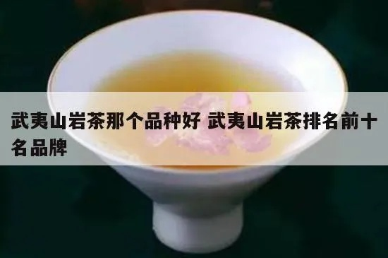 武夷山茶叶品牌大盘点，品味岩韵，尽在这一杯！