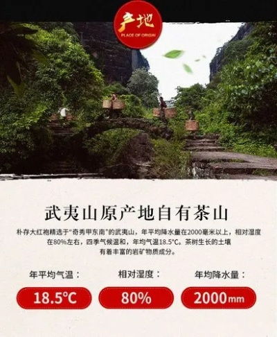 武夷山茶叶品牌大盘点，品味岩韵，尽在这一杯！