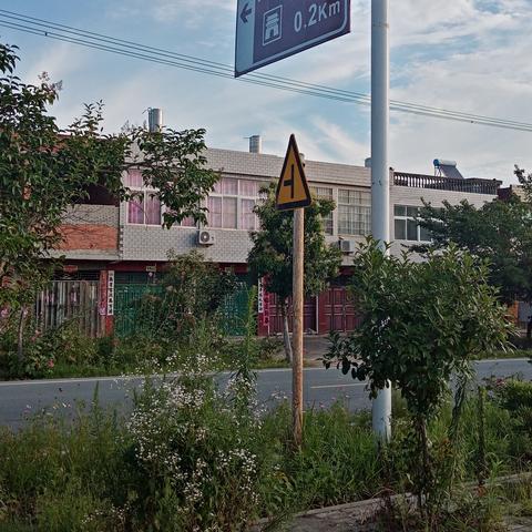 如何挑选高端茶叶品牌—实用指南