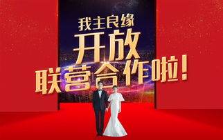 江苏省婚恋加盟品牌大盘点