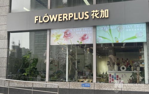 河南白酒加盟店热门品牌推荐