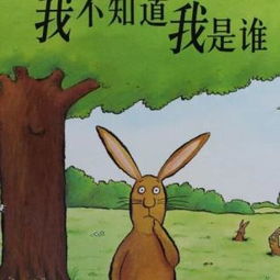 羊小咩便荔卡套出来攻略