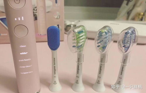 家用陶瓷拖把桶选购指南，品牌推荐与使用心得分享