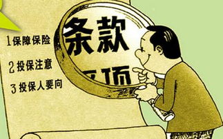 揭秘花呗套现的真相与风险，如何安全合法地使用花呗？