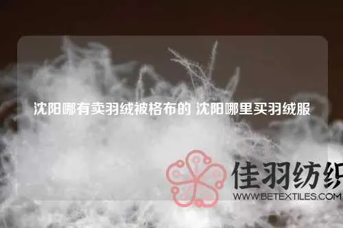 沈阳寻鸭绒被攻略，哪里买最靠谱？