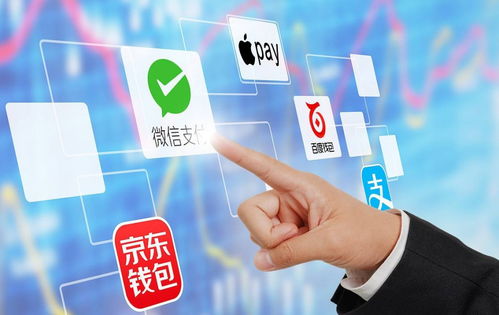 探索白条支付的取现可能性