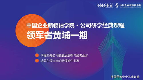 网站营销广告分析，揭秘成功秘诀，案例解析助力企业增长