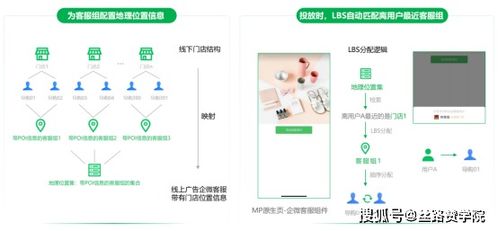 网站营销广告分析，揭秘成功秘诀，案例解析助力企业增长