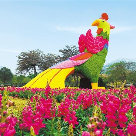 珠海周边玩乐胜地大盘点，畅游海滨休闲时光