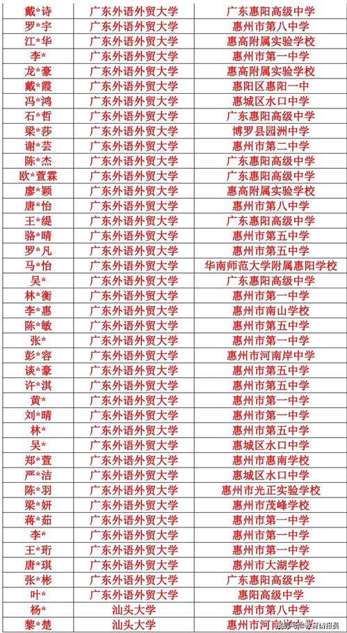 攀枝花智慧管廊招标网公告解读，未来城市基础设施的智慧升级之路