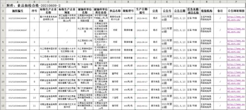 攀枝花智慧管廊招标网公告解读，未来城市基础设施的智慧升级之路