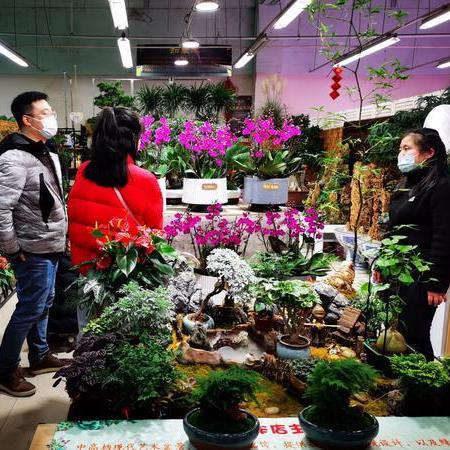 郑州豪宅装修，打造您心中的梦幻居所