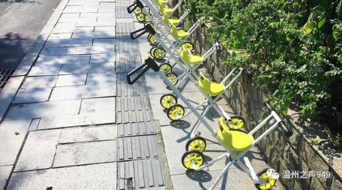 东莞户外共享童车品牌，绿色出行，快乐成长