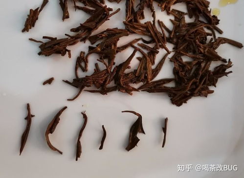 冲泡茶叶品牌大盘点，知乎网友推荐，这些品牌值得你一试！