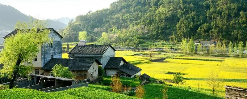乡村风景如画，诗意生活在这里绽放