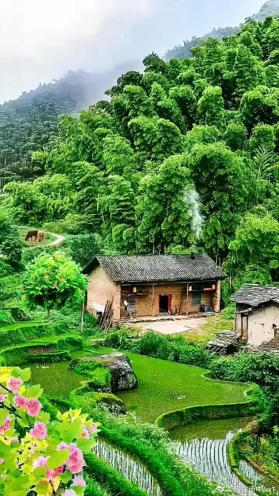 乡村风景如画，诗意生活在这里绽放