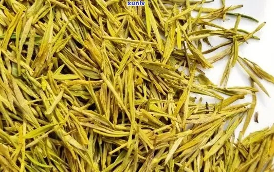 探寻黄金针茶叶的传奇品牌，源起之地与品质之谜