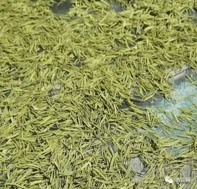 探寻黄金针茶叶的传奇品牌，源起之地与品质之谜