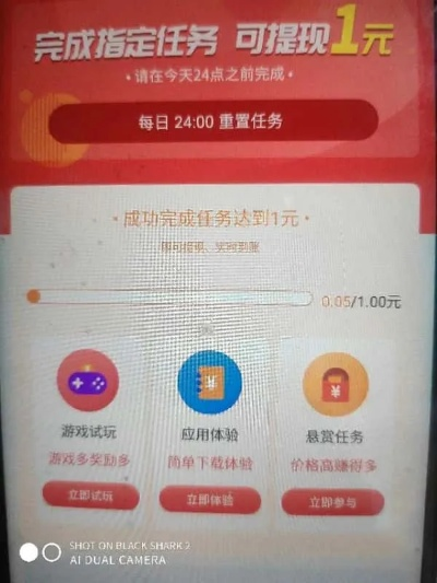 平台上做任务提现不了 平台任务挑战—为何我无法在平台上完成任务后提现？