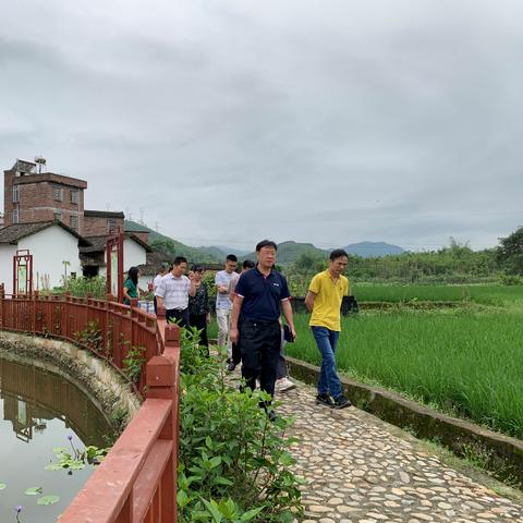 乡村振兴台账记录整理攻略，让数据说话，助力乡村发展