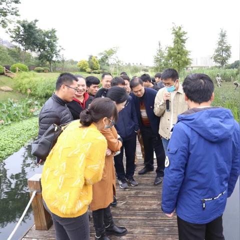 乡村巨变，美丽家园的蜕变之旅