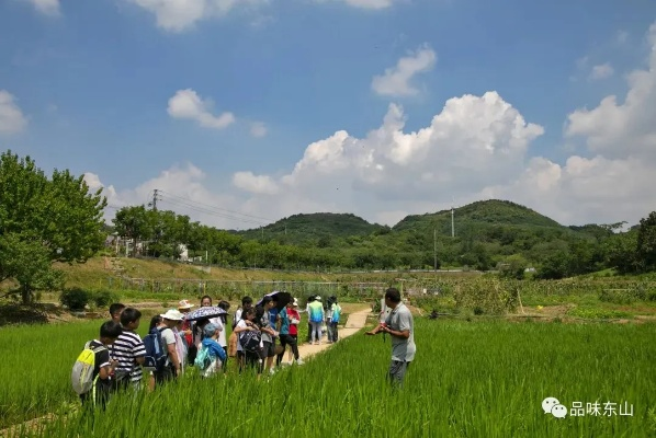 走进美丽乡村，感受田园风光—三年级下册乡村生活体验记