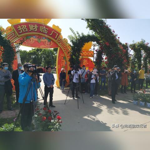河南白酒香飘四海，知名品牌盘点与影响力分析