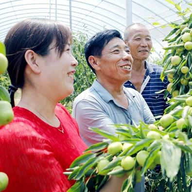 河南白酒香飘四海，知名品牌盘点与影响力分析