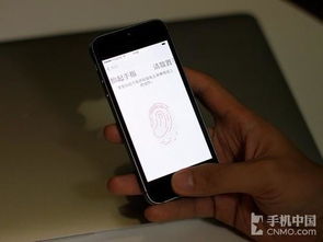 苹果5S手机怎么恢复已经删除的陌陌聊天记录 苹果5S手机怎么恢复已经删除的陌陌聊天记录