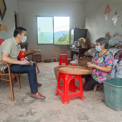 如何成为乡村振兴的带头人—实战攻略与案例分析