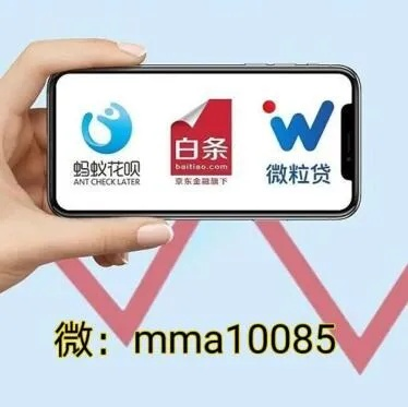 宜兴京东白条取现额度多少钱？