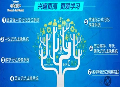 开封记忆力加盟品牌推荐及案例分析