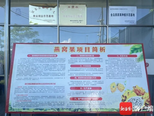 乐东燕窝加盟品牌店推荐