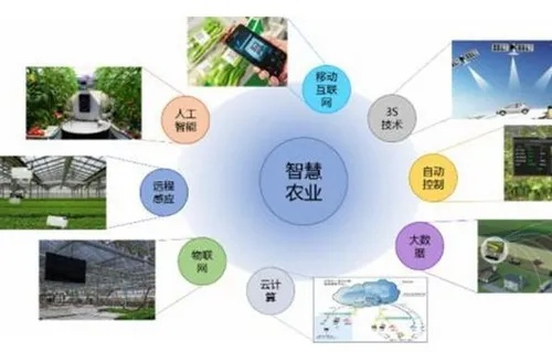智能乡村设计，未来农业的智慧大脑，市场前景广阔！