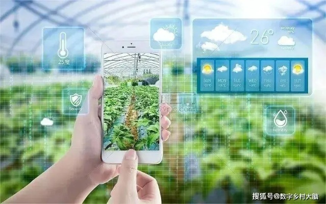 智能乡村设计，未来农业的智慧大脑，市场前景广阔！